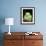 Painted Monkey Frog, Native to Paraguay-David Northcott-Framed Photographic Print displayed on a wall