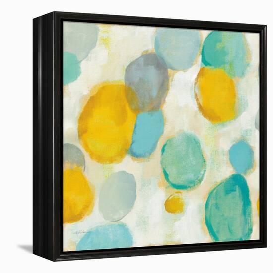 Painted Pebbles II-Silvia Vassileva-Framed Stretched Canvas