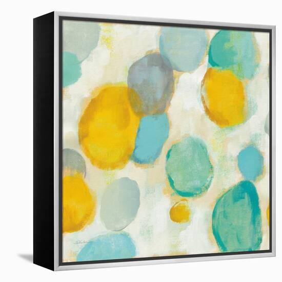 Painted Pebbles II-Silvia Vassileva-Framed Stretched Canvas