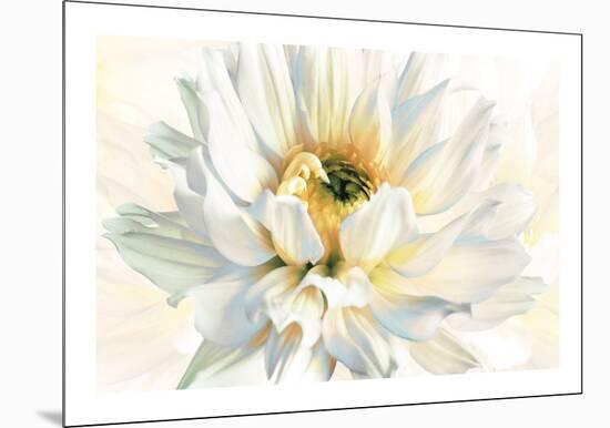 Painted Petals I-Christine Elizabeth-Mounted Giclee Print