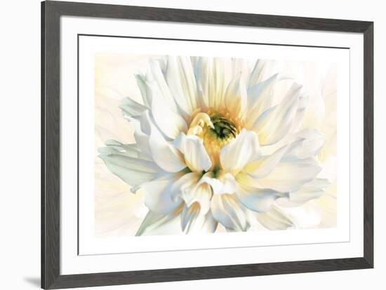 Painted Petals I-Christine Elizabeth-Framed Giclee Print