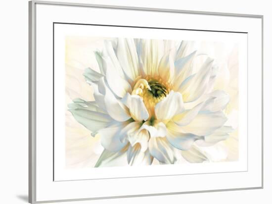 Painted Petals I-Christine Elizabeth-Framed Giclee Print