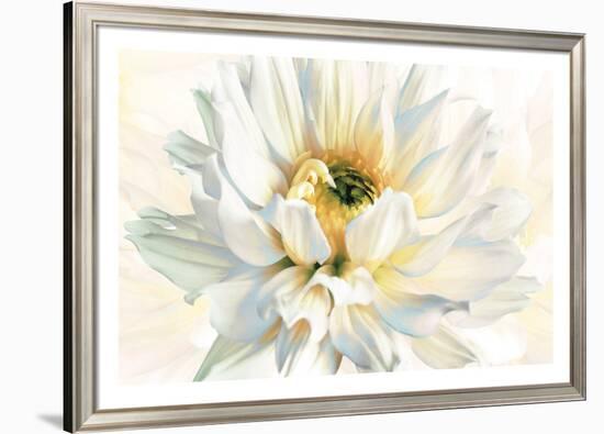 Painted Petals I-Christine Elizabeth-Framed Giclee Print