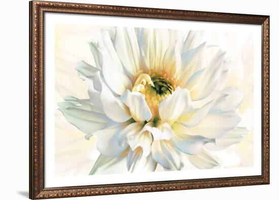 Painted Petals I-Christine Elizabeth-Framed Giclee Print