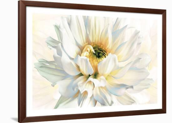 Painted Petals I-Christine Elizabeth-Framed Giclee Print