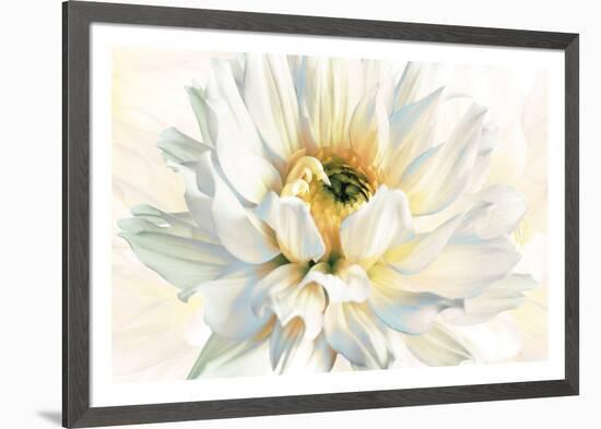 Painted Petals I-Christine Elizabeth-Framed Giclee Print