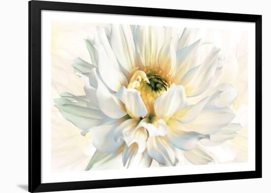 Painted Petals I-Christine Elizabeth-Framed Giclee Print