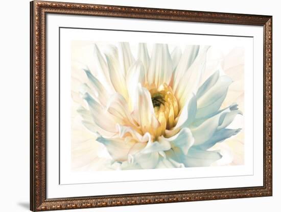 Painted Petals II-Christine Elizabeth-Framed Giclee Print