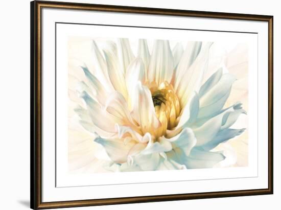 Painted Petals II-Christine Elizabeth-Framed Giclee Print