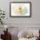 Painted Petals II-Christine Elizabeth-Framed Giclee Print displayed on a wall