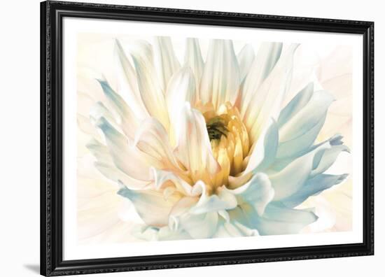 Painted Petals II-Christine Elizabeth-Framed Giclee Print