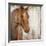 Painted Pony-Elizabeth Jardine-Framed Art Print