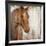 Painted Pony-Elizabeth Jardine-Framed Art Print