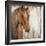 Painted Pony-Elizabeth Jardine-Framed Art Print