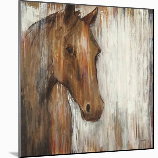 Painted Pony-Liz Jardine-Mounted Art Print