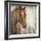 Painted Pony-Liz Jardine-Framed Art Print