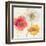 Painted Poppies IV-Katie Pertiet-Framed Art Print