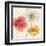 Painted Poppies IV-Katie Pertiet-Framed Art Print