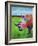 Painted Rhino-Corina St. Martin-Framed Giclee Print