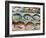 Painted Shells, Kyoto, Japan-Rob Tilley-Framed Photographic Print