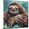 Painted Sloth I-Carolee Vitaletti-Mounted Art Print