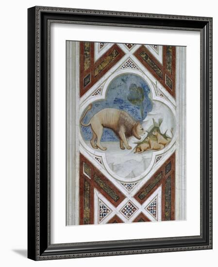 Painted Tile, Symbol of Resurrection of Jesus Christ, Detail from Frescoes, 1303-1305-Giotto di Bondone-Framed Giclee Print