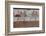 Painted Tomb of the Diver Detail, National Archaeological Museum, Paestum, Campania, Italy-Eleanor Scriven-Framed Photographic Print