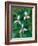 Painted Trillium, Waterville Valley, White Mountain National Forest, New Hampshire, USA-Jerry & Marcy Monkman-Framed Photographic Print