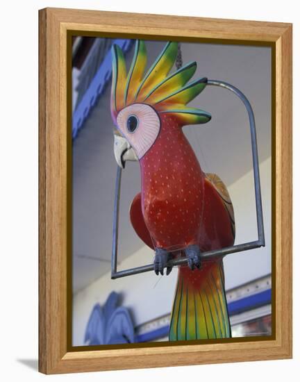 Painted Tropical Bird, St. Martin, Caribbean-Walter Bibikow-Framed Premier Image Canvas