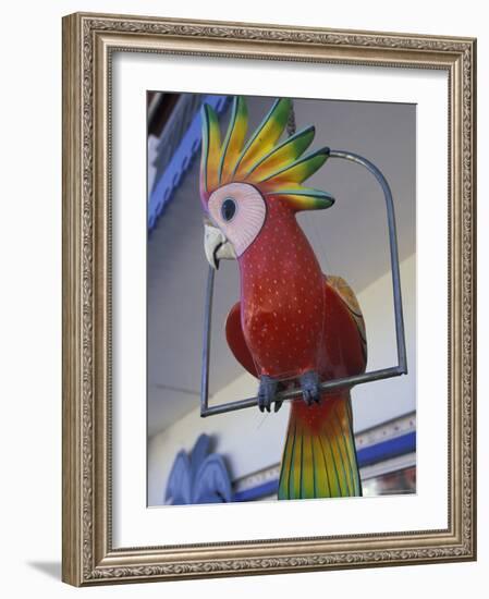 Painted Tropical Bird, St. Martin, Caribbean-Walter Bibikow-Framed Photographic Print