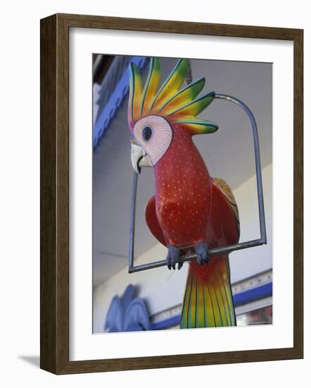 Painted Tropical Bird, St. Martin, Caribbean-Walter Bibikow-Framed Photographic Print