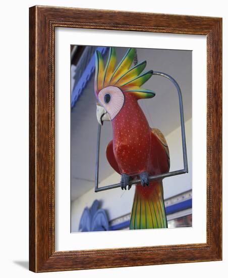 Painted Tropical Bird, St. Martin, Caribbean-Walter Bibikow-Framed Photographic Print