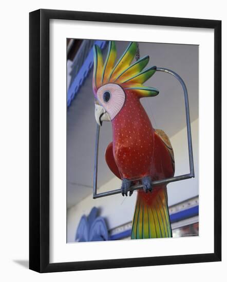 Painted Tropical Bird, St. Martin, Caribbean-Walter Bibikow-Framed Photographic Print