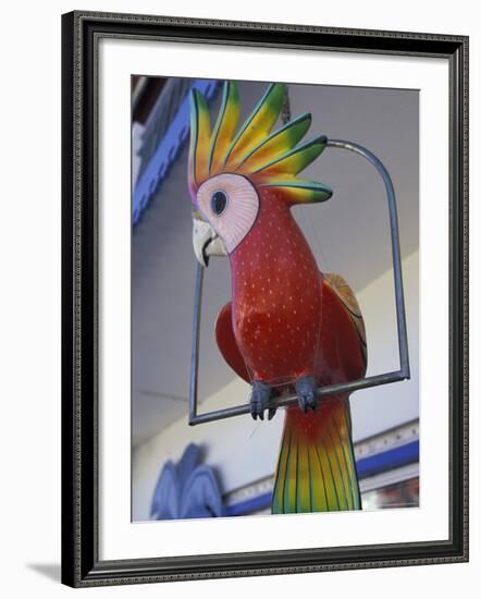 Painted Tropical Bird, St. Martin, Caribbean-Walter Bibikow-Framed Photographic Print