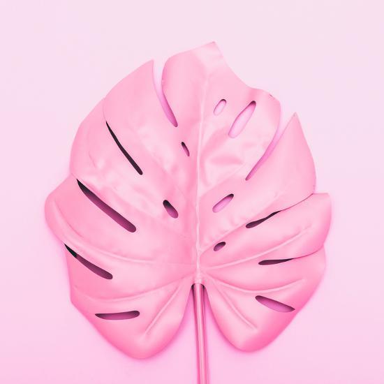 Painted Tropical Palm Leaf Of Monstera Photographic Print Katya