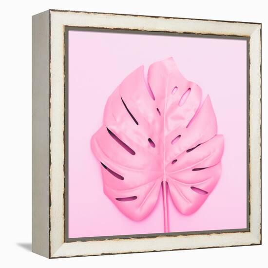 Painted Tropical Palm Leaf of Monstera-Katya Havok-Framed Stretched Canvas