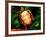 Painted Turtle, Native to Southern USA-David Northcott-Framed Photographic Print