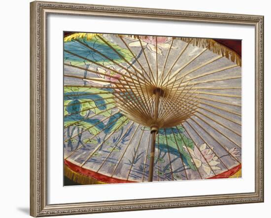 Painted Umbrellas at the Loa Fire Rocket Festival, Seattle, Washington, USA-Merrill Images-Framed Photographic Print