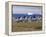 Painted Village Houses in Front of Icebergs in Disko Bay, West Coast, Greenland-Anthony Waltham-Framed Premier Image Canvas