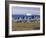 Painted Village Houses in Front of Icebergs in Disko Bay, West Coast, Greenland-Anthony Waltham-Framed Photographic Print