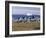 Painted Village Houses in Front of Icebergs in Disko Bay, West Coast, Greenland-Anthony Waltham-Framed Photographic Print