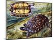 Giclee Print