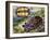 Painted Wood Turtle or Ornate Wood Turtle (Rhinoclemmys Pulcherrima), Geoemydidae-null-Framed Giclee Print