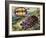 Painted Wood Turtle or Ornate Wood Turtle (Rhinoclemmys Pulcherrima), Geoemydidae-null-Framed Giclee Print