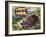 Painted Wood Turtle or Ornate Wood Turtle (Rhinoclemmys Pulcherrima), Geoemydidae-null-Framed Giclee Print