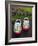 Painted Wooden Shoe, Keukenhof Gardens, Lisse, Netherlands-Adam Jones-Framed Photographic Print