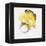 Painted Yellow II-PI Studio-Framed Stretched Canvas