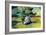 Painter At Work-Paul Cézanne-Framed Art Print