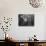 Painter Brion Gysin, Shown W His Paintings in Hotel Room in with Writer William S. Burroughs-Loomis Dean-Mounted Photographic Print displayed on a wall