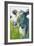 Painterly Cow III-Grace Popp-Framed Art Print